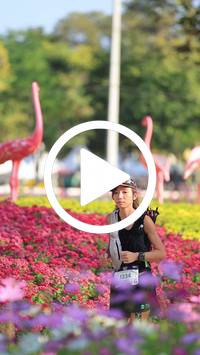 BIB:  <button type="button" onclick="openModal(27583579)" class="btn btn-primary btn-sm float-right" data-toggle="modal" data-target=".modal-high-quality">
                <i class="fa fa-download"></i> Download
                </button>